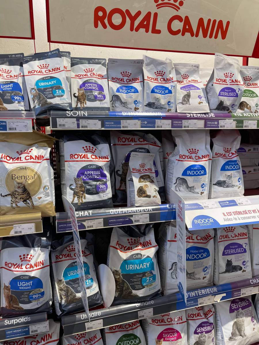 Achat de laisses et de harnais pour chiens et chats conçus pour sécuriser les sorties : plusieurs matériaux disponibles Six Fours les Plages 83140 Var