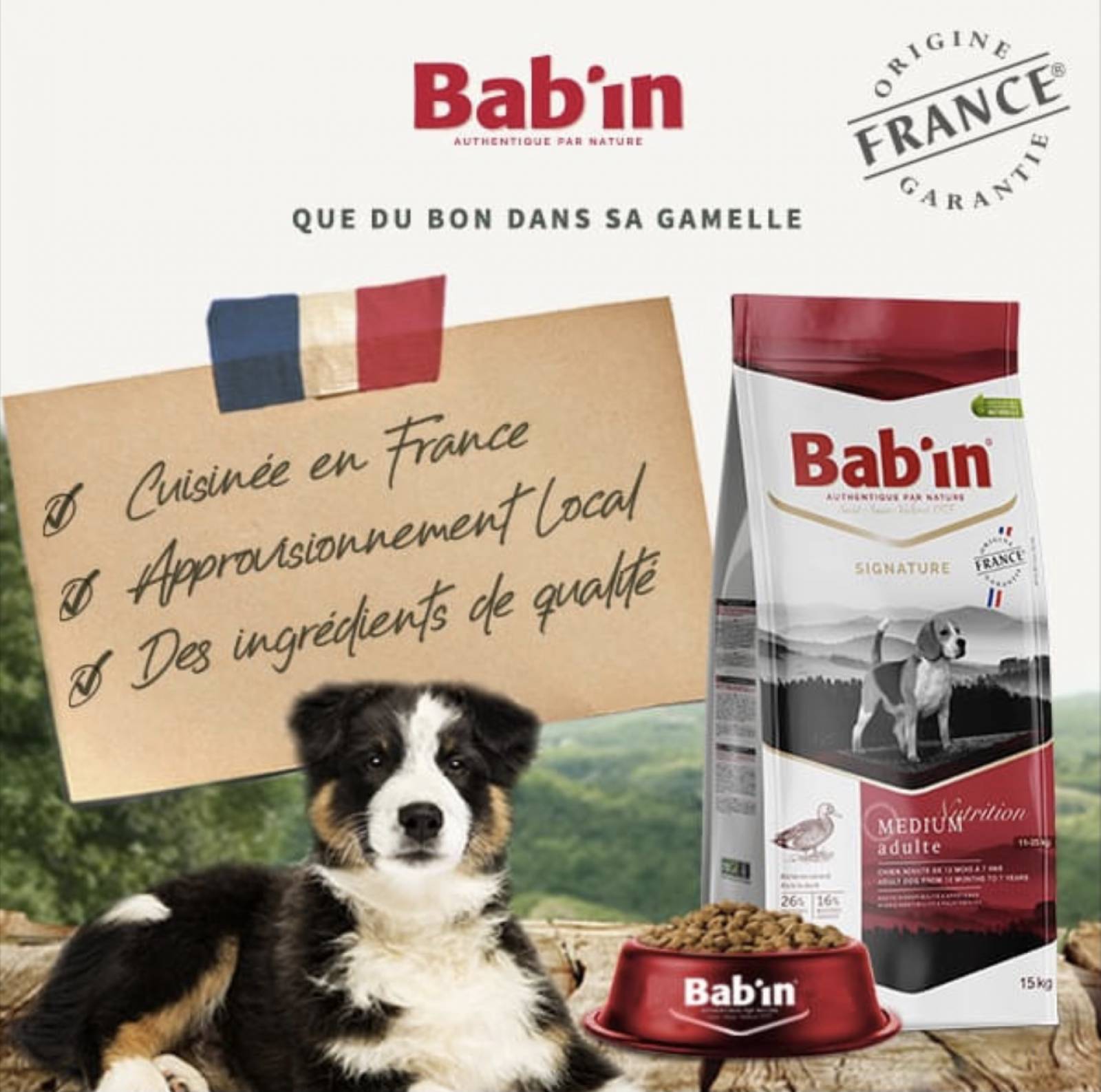 La plus française de la croquette moins chère