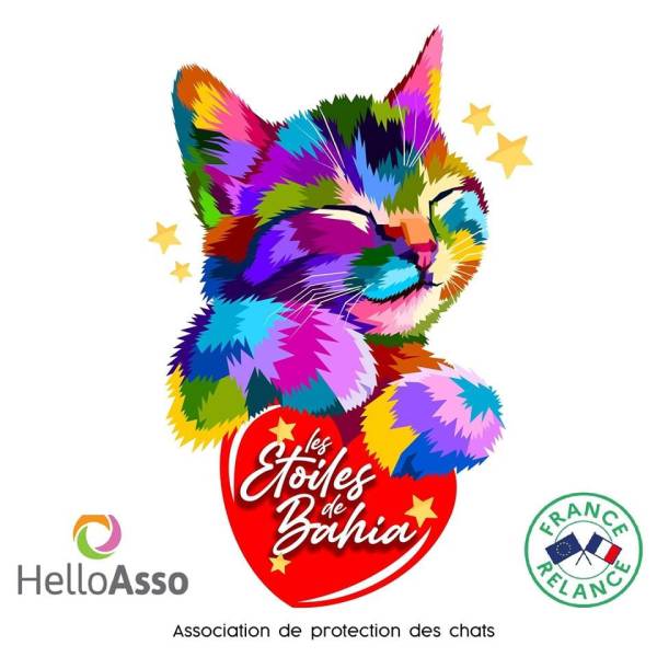 Protection animale à Bandol dans le Var Les Etoiles de Bahia