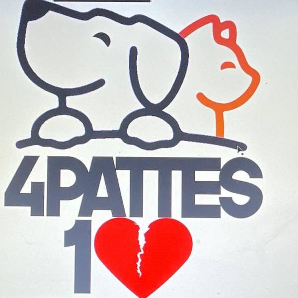 Protection animale à Sanary sur mer dans le Var 4 pattes 1 coeur brisé