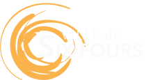 Ville Six Fours les Plages près de Toulon dans le Var Commune de Six-Fours